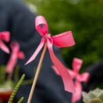 Córdoba Rosa: continúan las actividades de prevención y diagnostico precoz del cáncer de mama
